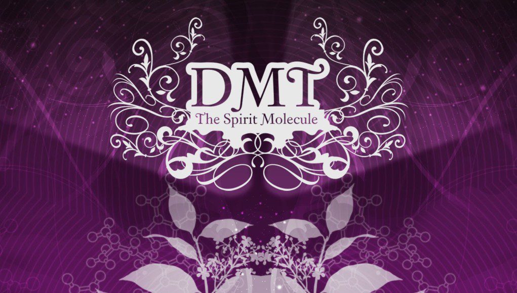 DMT: The Spirit Molecule