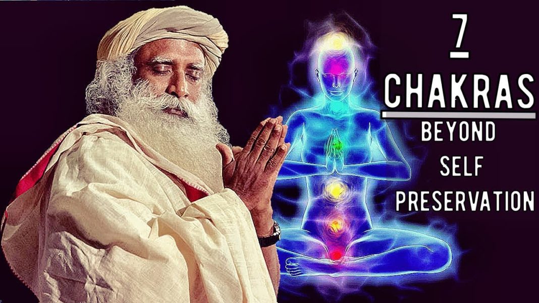 7 Chakras – Beyond Self Preservation