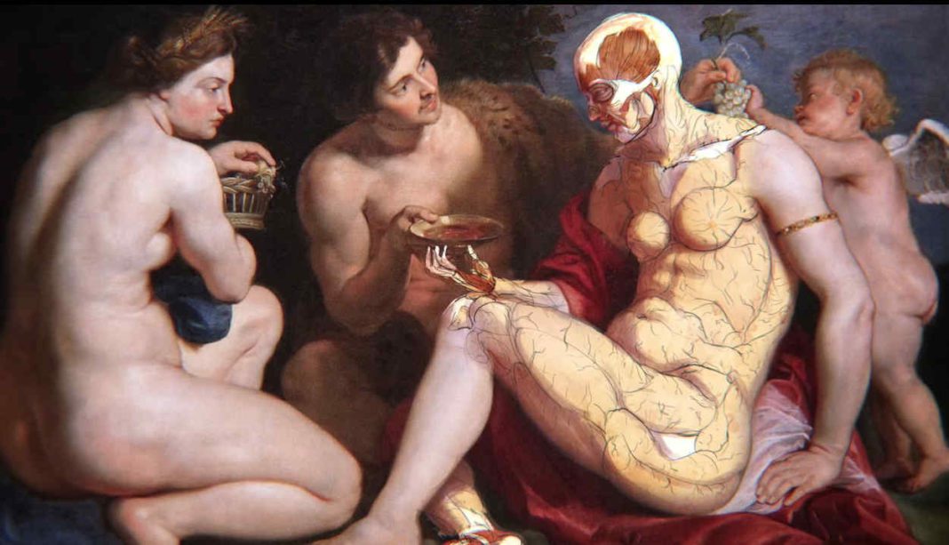 A Brief History of Fat, and Why We Hate It