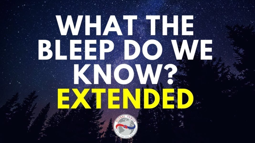 What the Bleep Do We Know (2004)